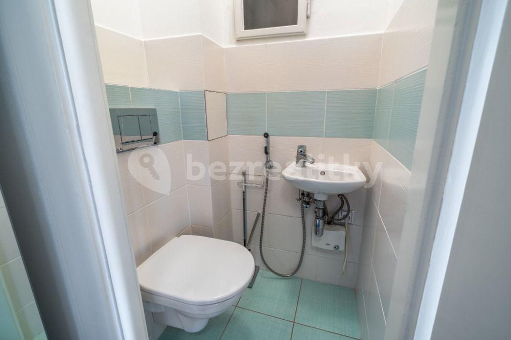 1 bedroom with open-plan kitchen flat to rent, 57 m², Matoušova, Prague, Prague