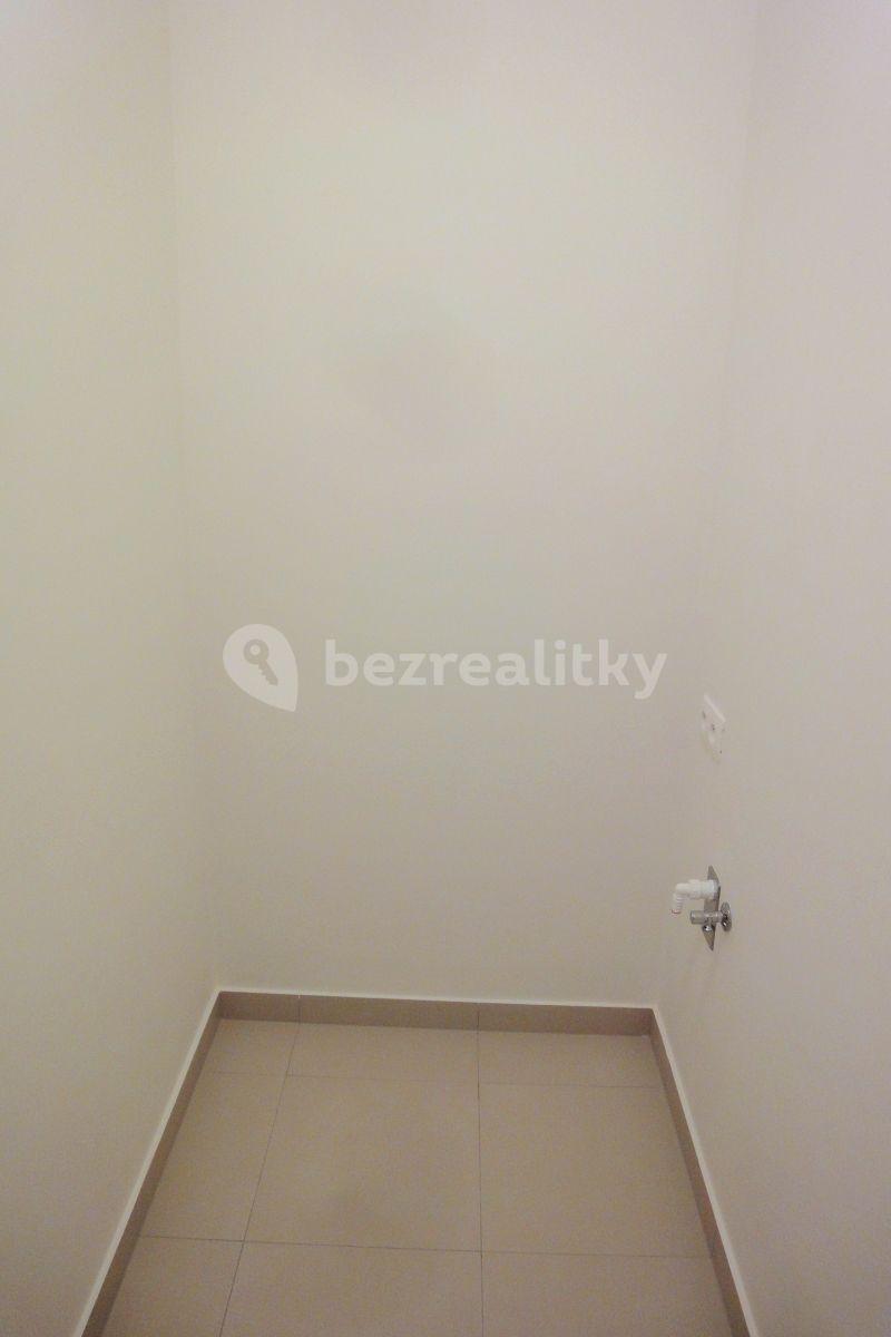 1 bedroom with open-plan kitchen flat to rent, 55 m², U Mlýnského kanálu, Prague, Prague