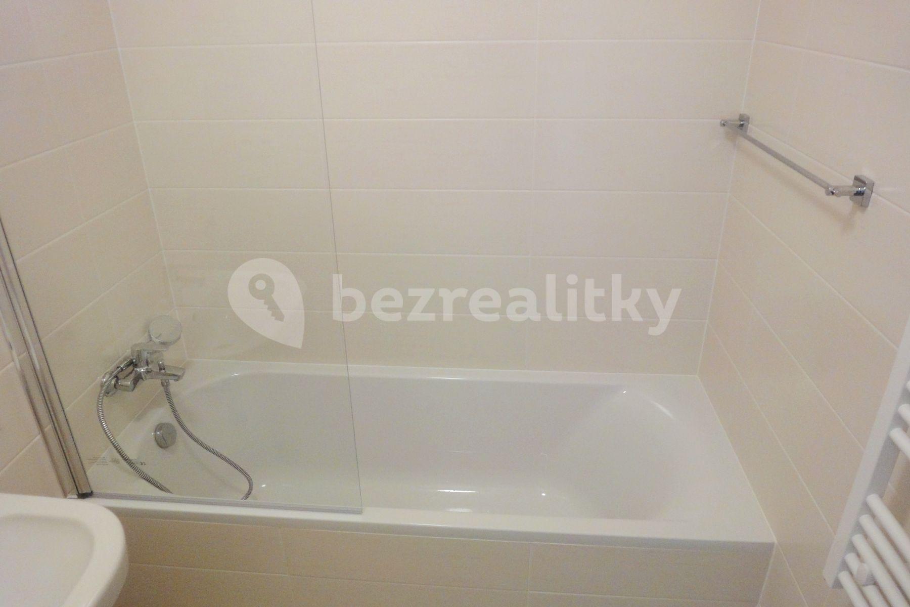 1 bedroom with open-plan kitchen flat to rent, 55 m², U Mlýnského kanálu, Prague, Prague