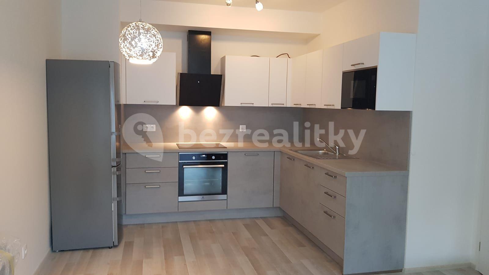 1 bedroom with open-plan kitchen flat to rent, 55 m², U Mlýnského kanálu, Prague, Prague