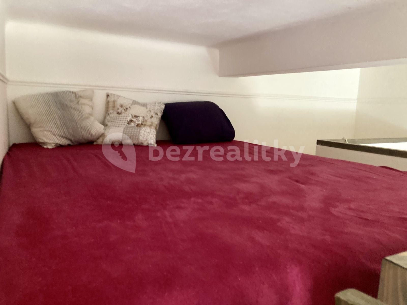 Studio flat to rent, 30 m², V Šáreckém údolí, Prague, Prague