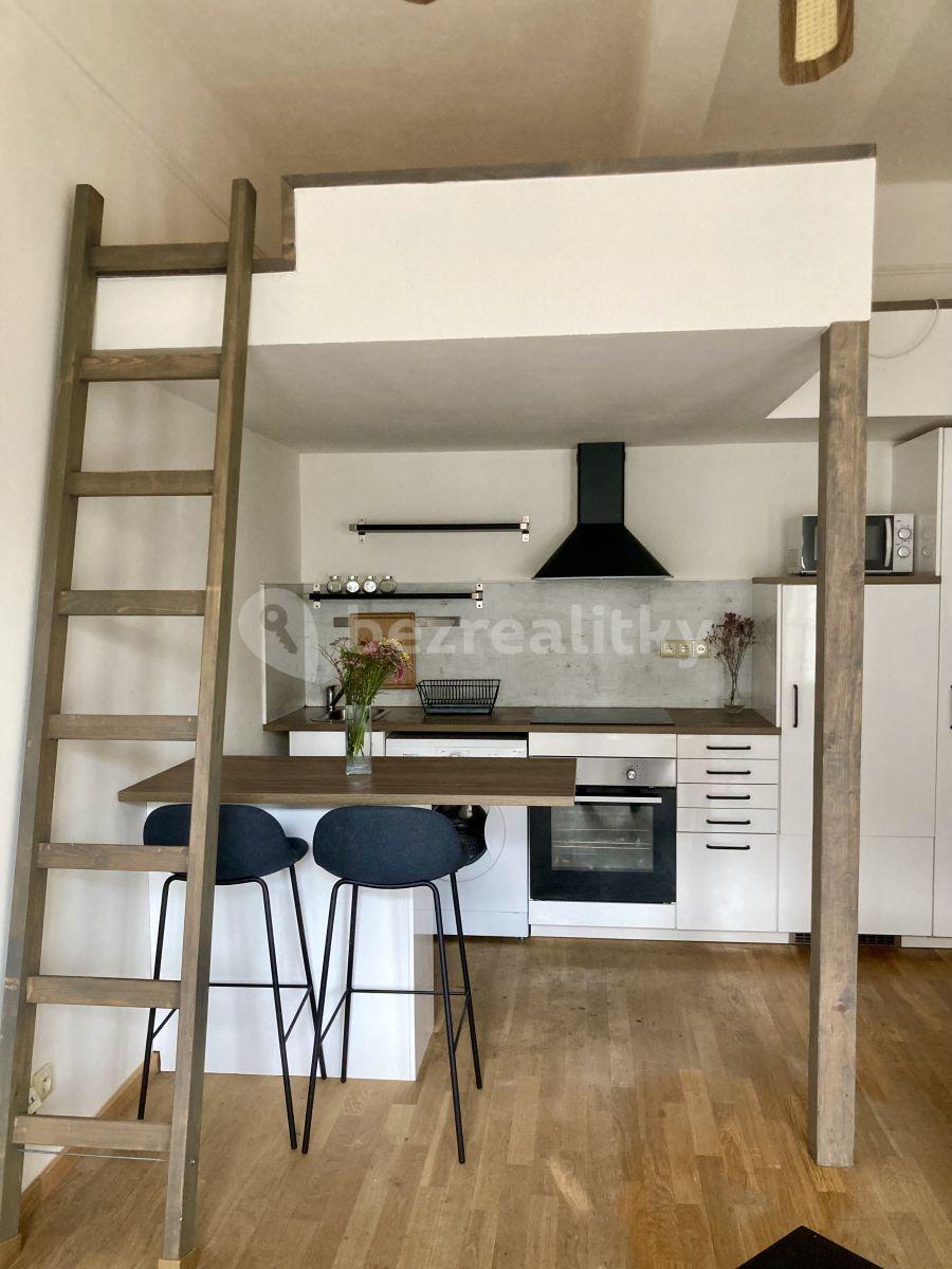 Studio flat to rent, 30 m², V Šáreckém údolí, Prague, Prague