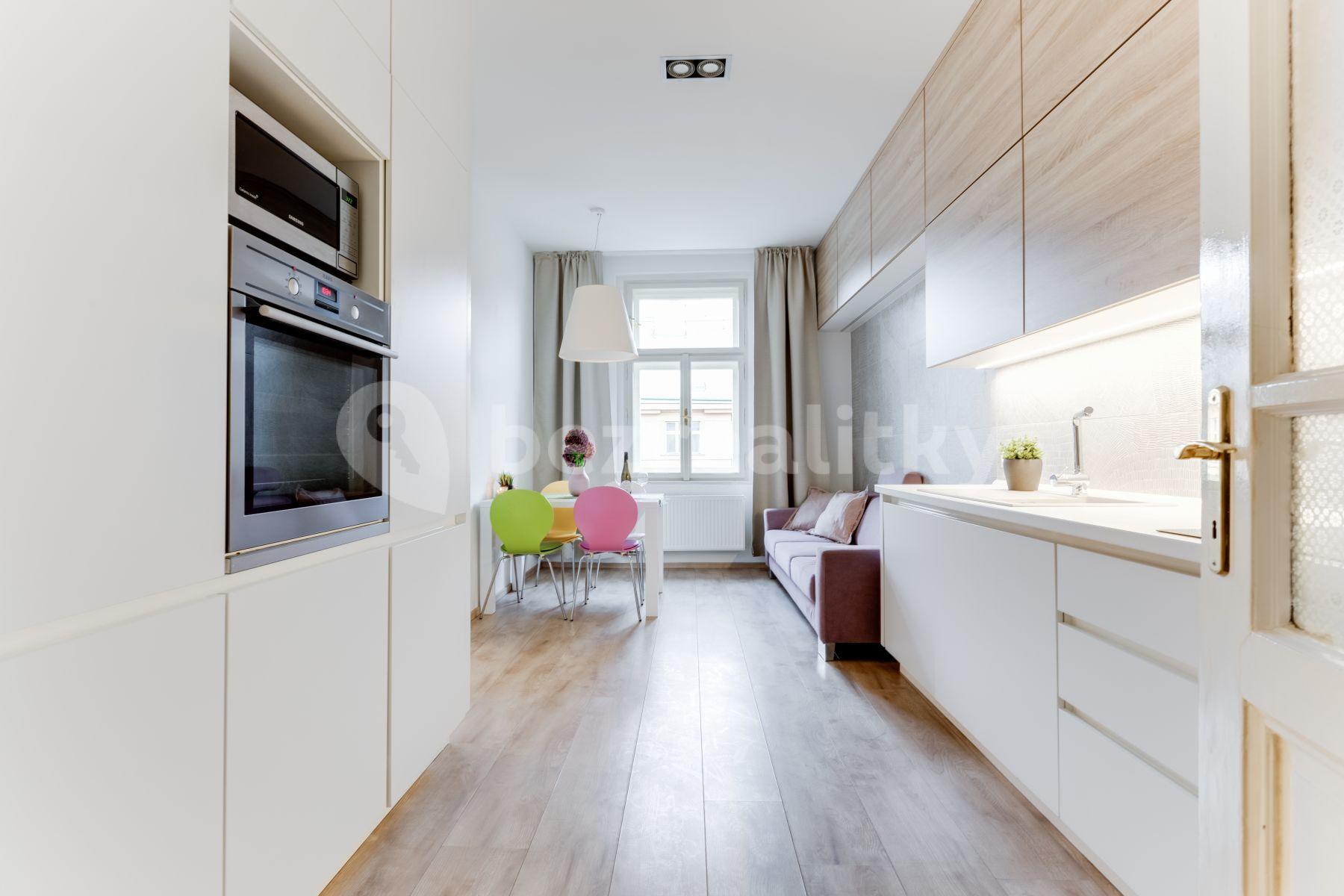 1 bedroom with open-plan kitchen flat to rent, 55 m², Nezamyslova, Prague, Prague