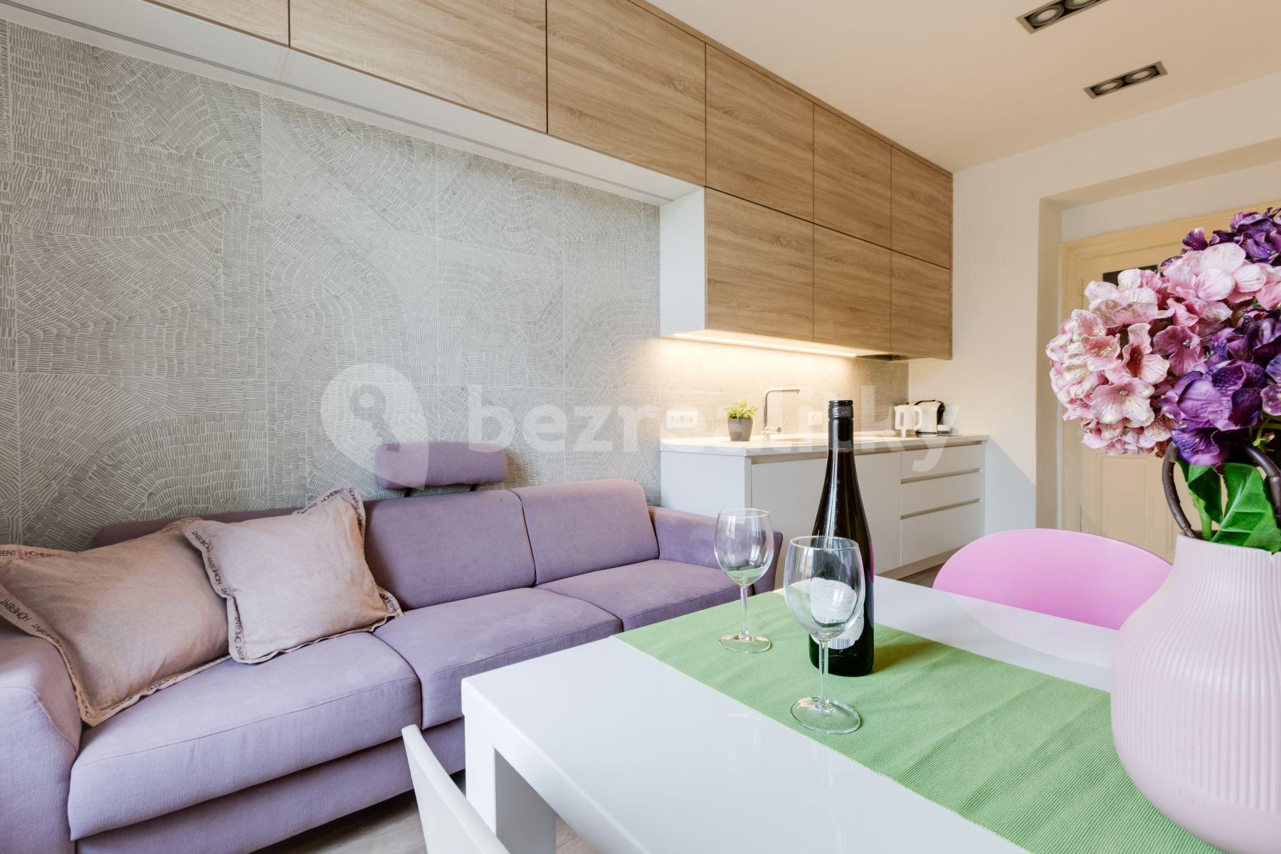 1 bedroom with open-plan kitchen flat to rent, 55 m², Nezamyslova, Prague, Prague