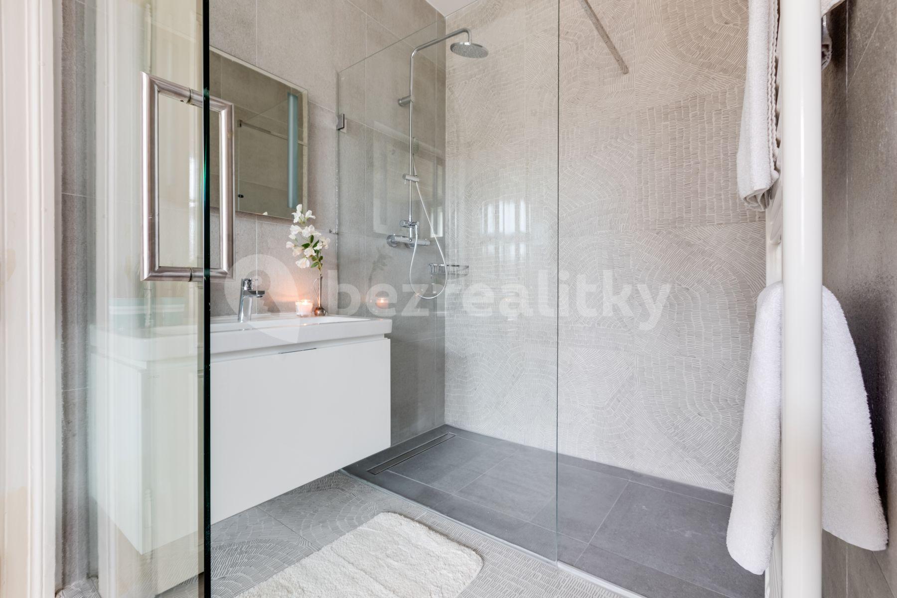 1 bedroom with open-plan kitchen flat to rent, 55 m², Nezamyslova, Prague, Prague