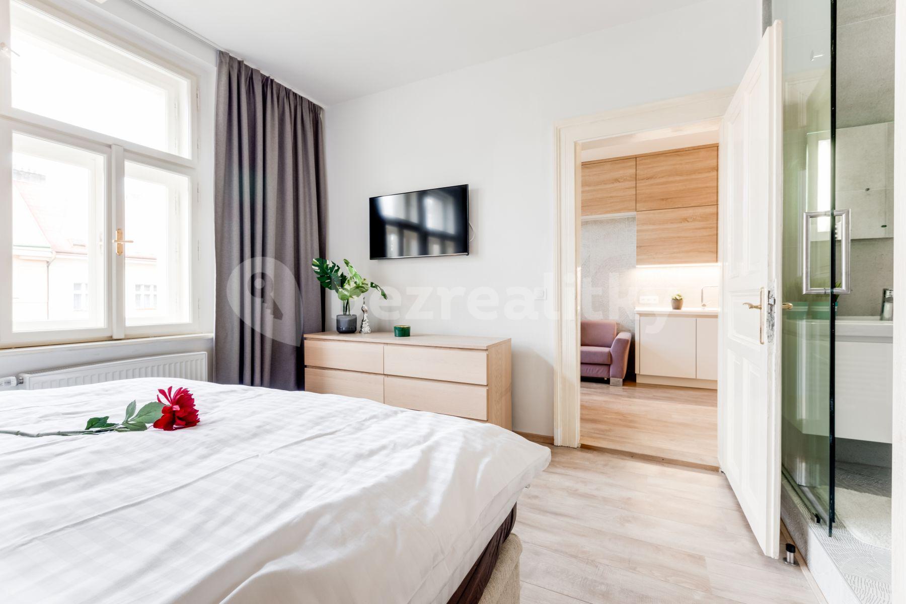 1 bedroom with open-plan kitchen flat to rent, 55 m², Nezamyslova, Prague, Prague