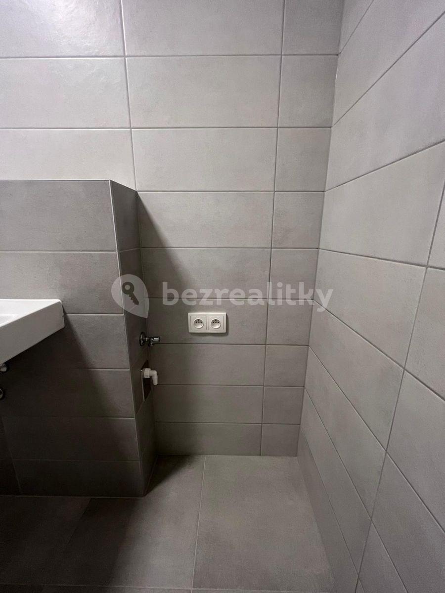 1 bedroom with open-plan kitchen flat to rent, 53 m², K Vystrkovu, Prague, Prague