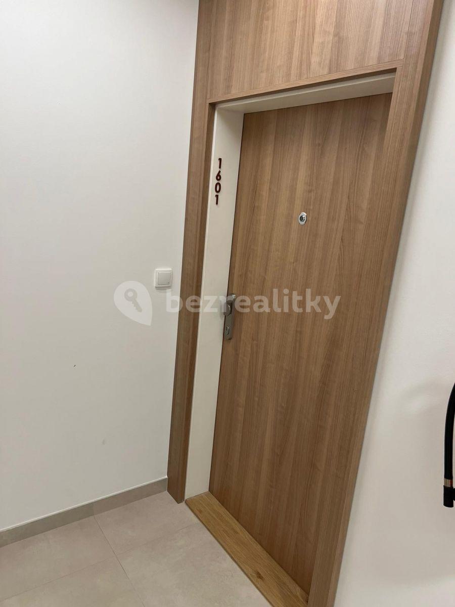 1 bedroom with open-plan kitchen flat to rent, 53 m², K Vystrkovu, Prague, Prague