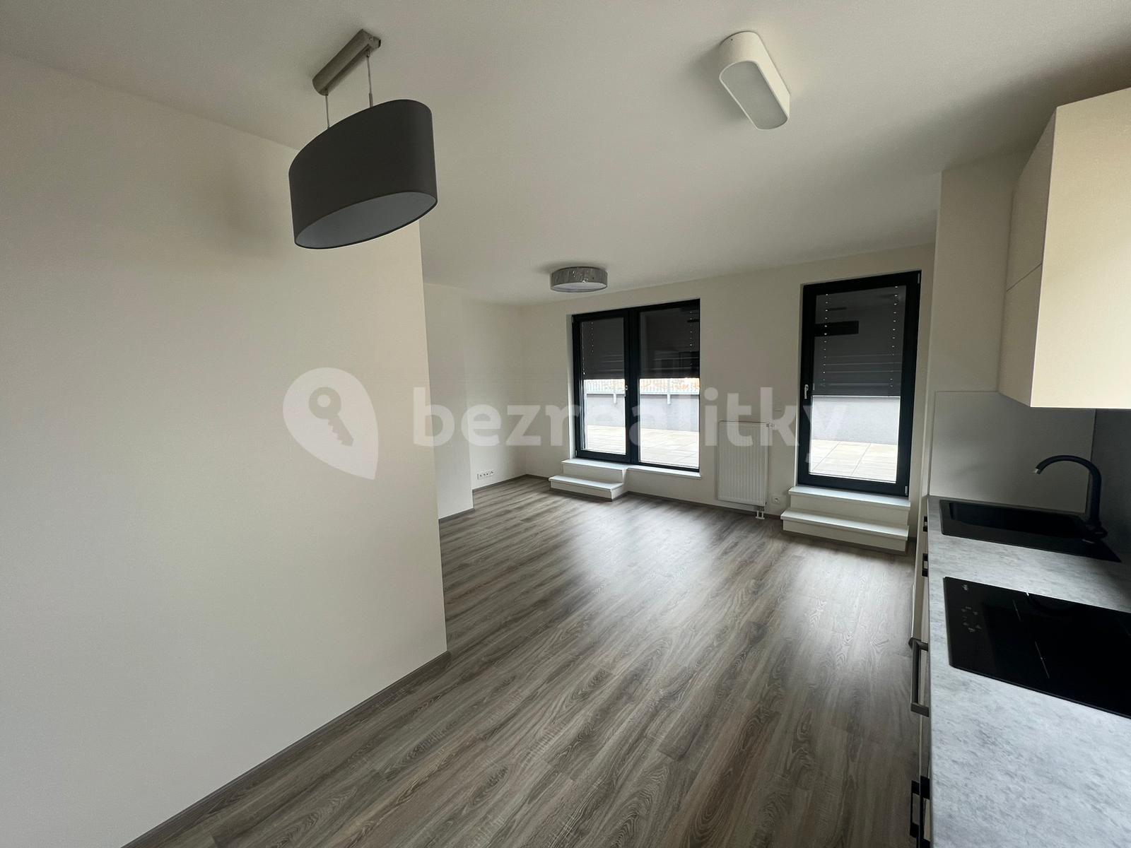 1 bedroom with open-plan kitchen flat to rent, 53 m², K Vystrkovu, Prague, Prague