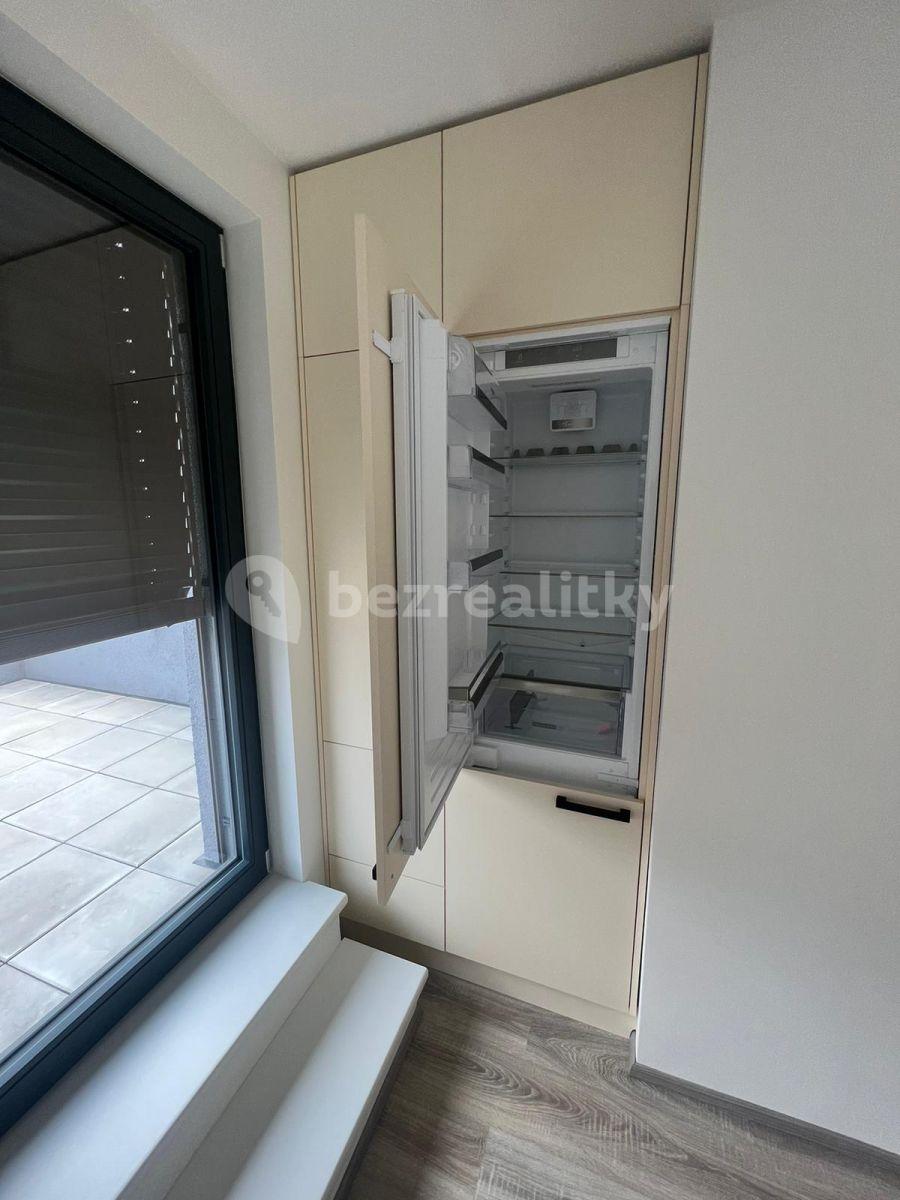 1 bedroom with open-plan kitchen flat to rent, 53 m², K Vystrkovu, Prague, Prague