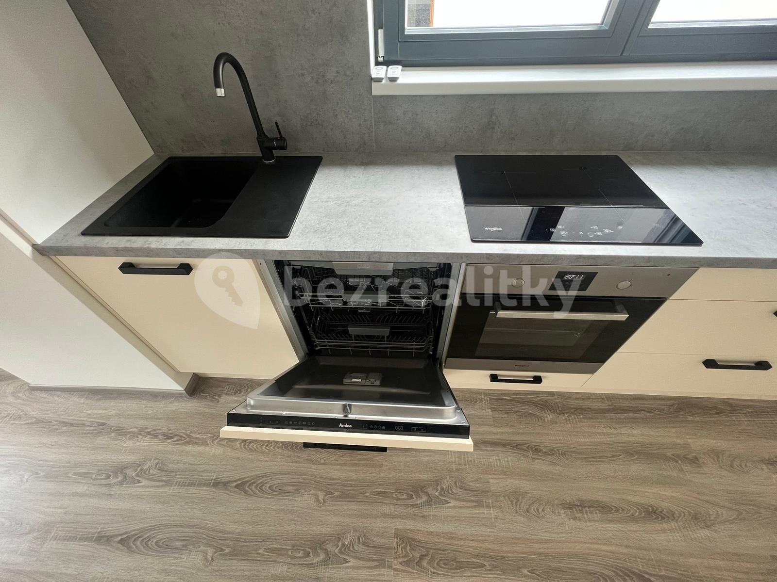 1 bedroom with open-plan kitchen flat to rent, 53 m², K Vystrkovu, Prague, Prague