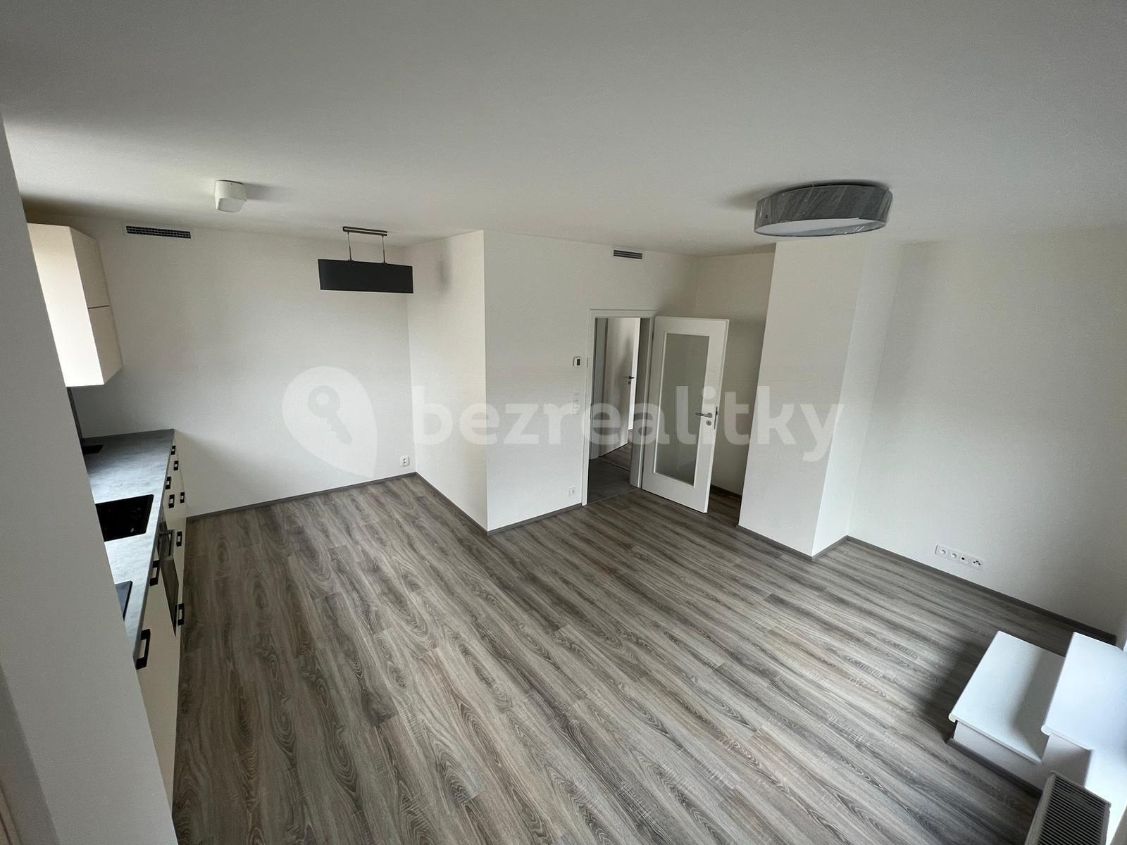 1 bedroom with open-plan kitchen flat to rent, 53 m², K Vystrkovu, Prague, Prague