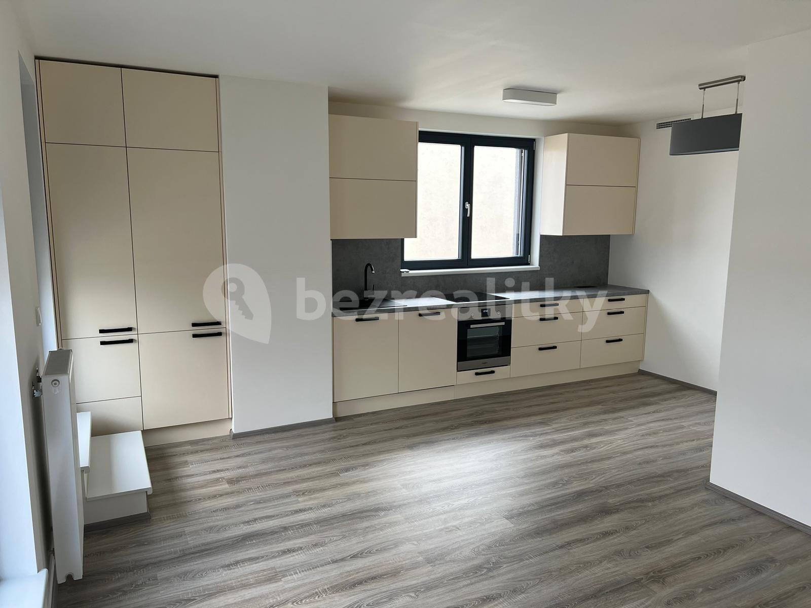 1 bedroom with open-plan kitchen flat to rent, 53 m², K Vystrkovu, Prague, Prague