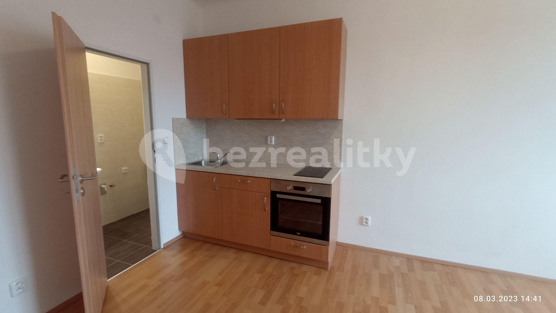 1 bedroom with open-plan kitchen flat to rent, 44 m², Pastrnkova, Brno, Jihomoravský Region