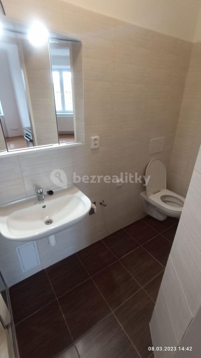 1 bedroom with open-plan kitchen flat to rent, 44 m², Pastrnkova, Brno, Jihomoravský Region