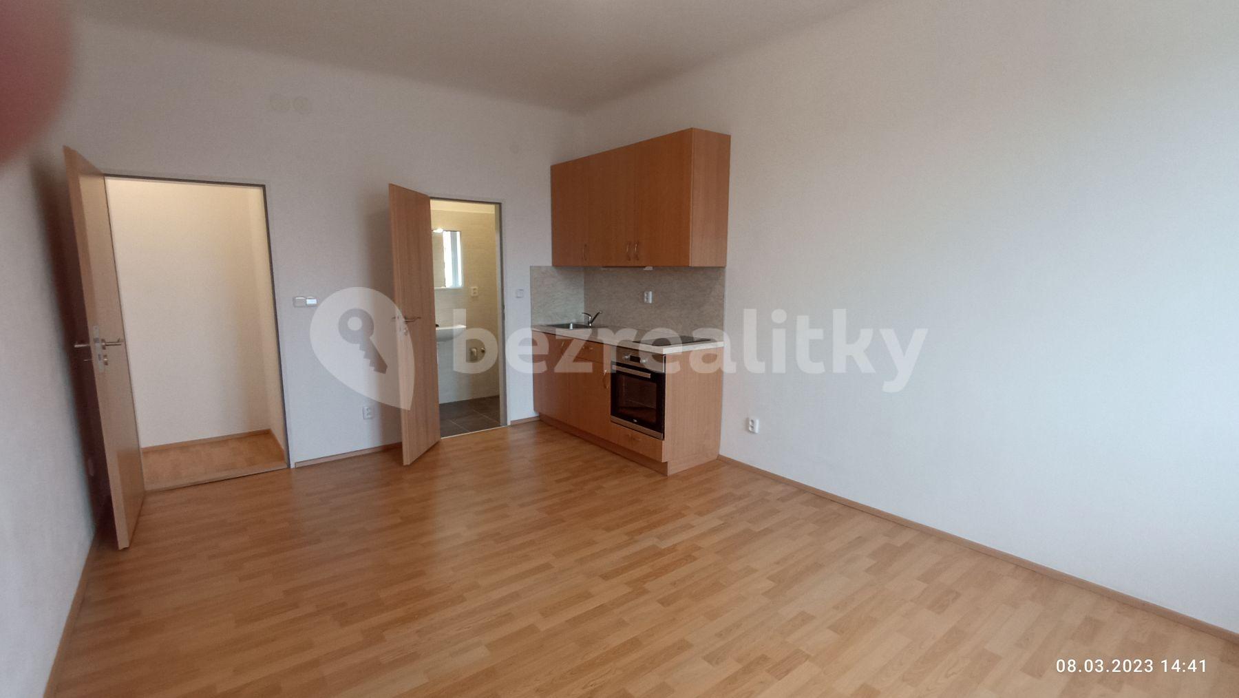 1 bedroom with open-plan kitchen flat to rent, 44 m², Pastrnkova, Brno, Jihomoravský Region