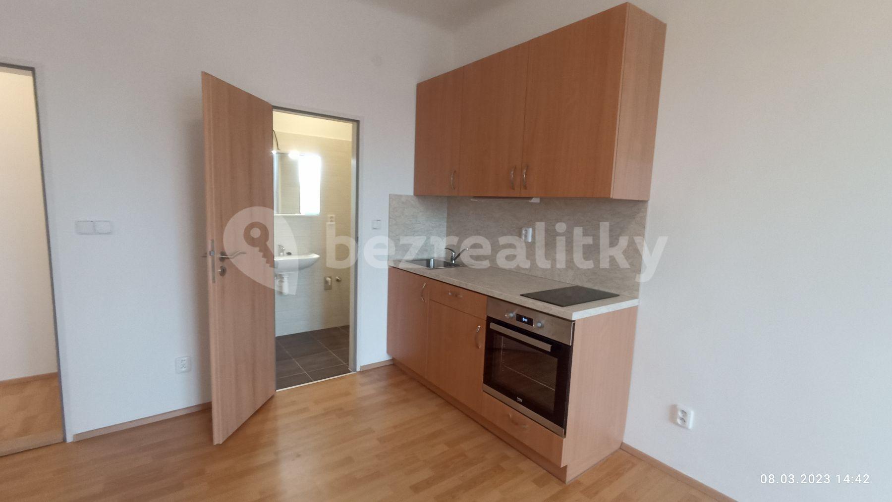 1 bedroom with open-plan kitchen flat to rent, 44 m², Pastrnkova, Brno, Jihomoravský Region