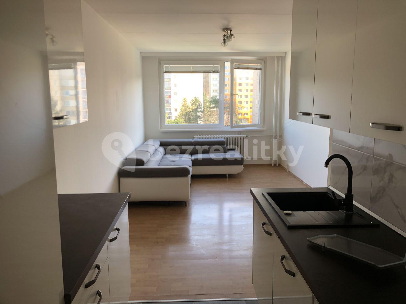 2 bedroom with open-plan kitchen flat to rent, 56 m², Krupná, Prague, Prague