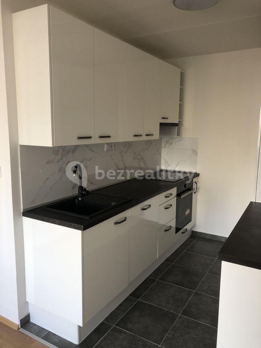 2 bedroom with open-plan kitchen flat to rent, 56 m², Krupná, Prague, Prague