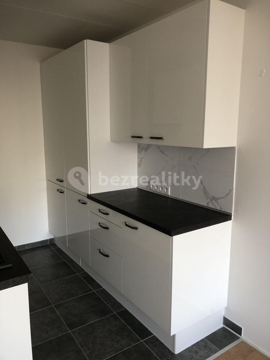 2 bedroom with open-plan kitchen flat to rent, 56 m², Krupná, Prague, Prague