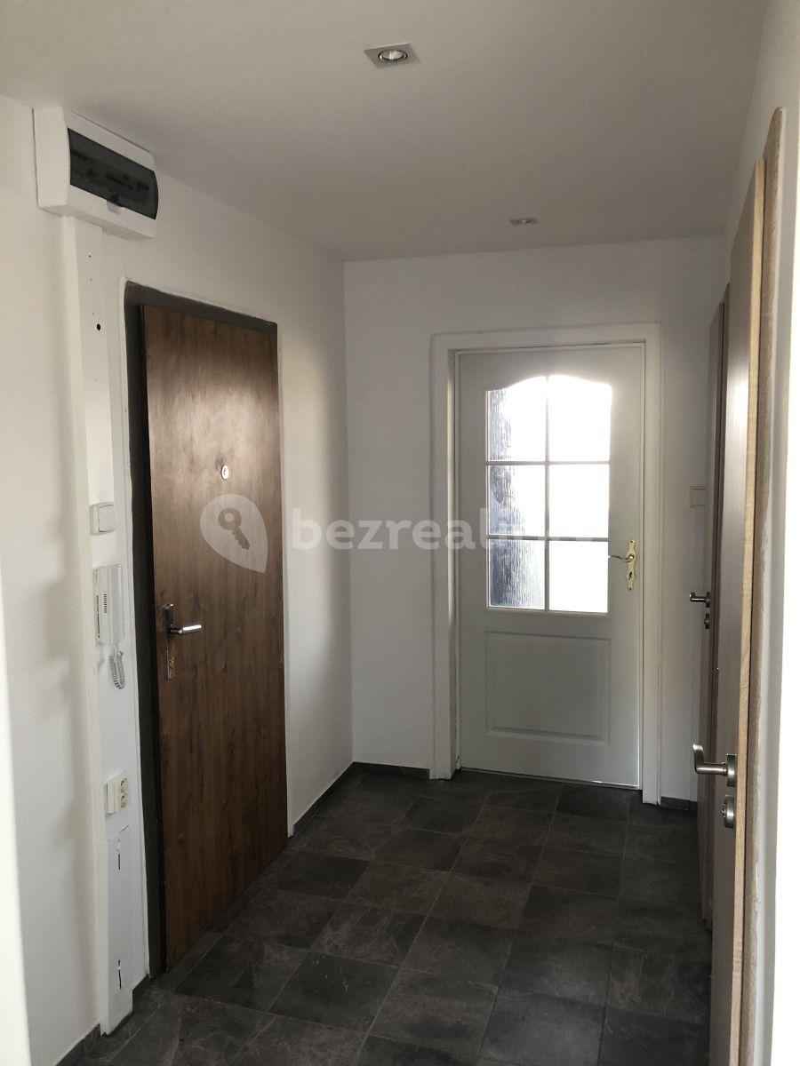 2 bedroom with open-plan kitchen flat to rent, 56 m², Krupná, Prague, Prague