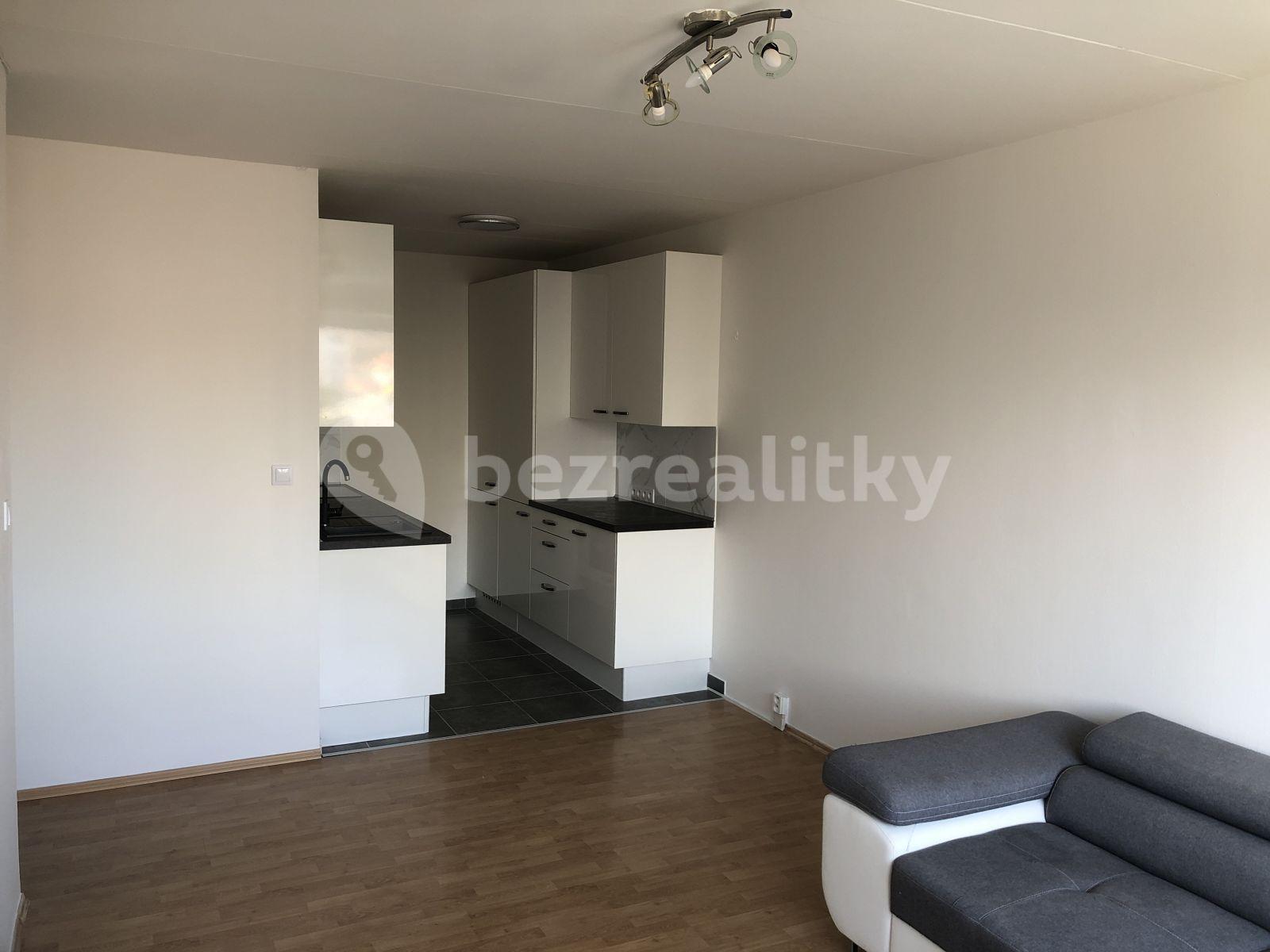 2 bedroom with open-plan kitchen flat to rent, 56 m², Krupná, Prague, Prague