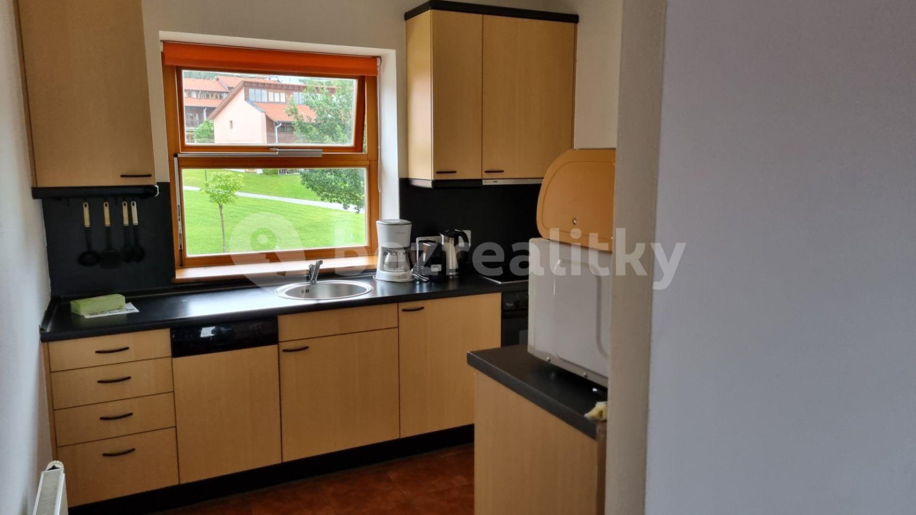 2 bedroom with open-plan kitchen flat for sale, 88 m², 163, Lipno nad Vltavou, Jihočeský Region