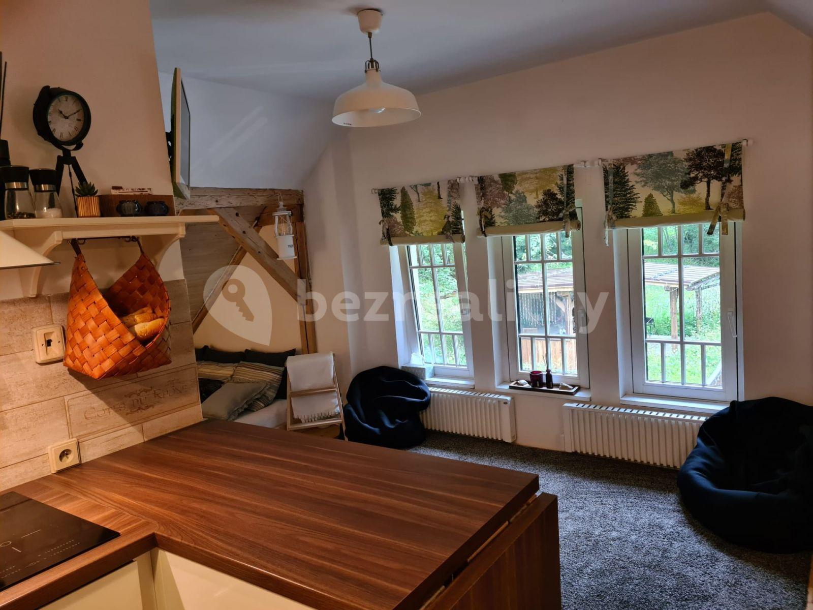 Studio flat for sale, 30 m², Špindlerův Mlýn, Královéhradecký Region