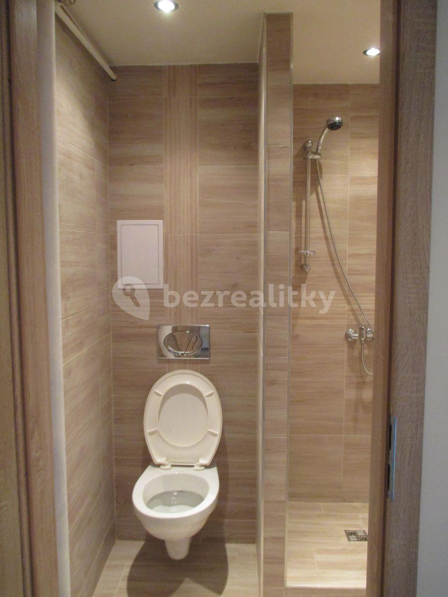 1 bedroom flat to rent, 28 m², Mládeže, Beroun, Středočeský Region