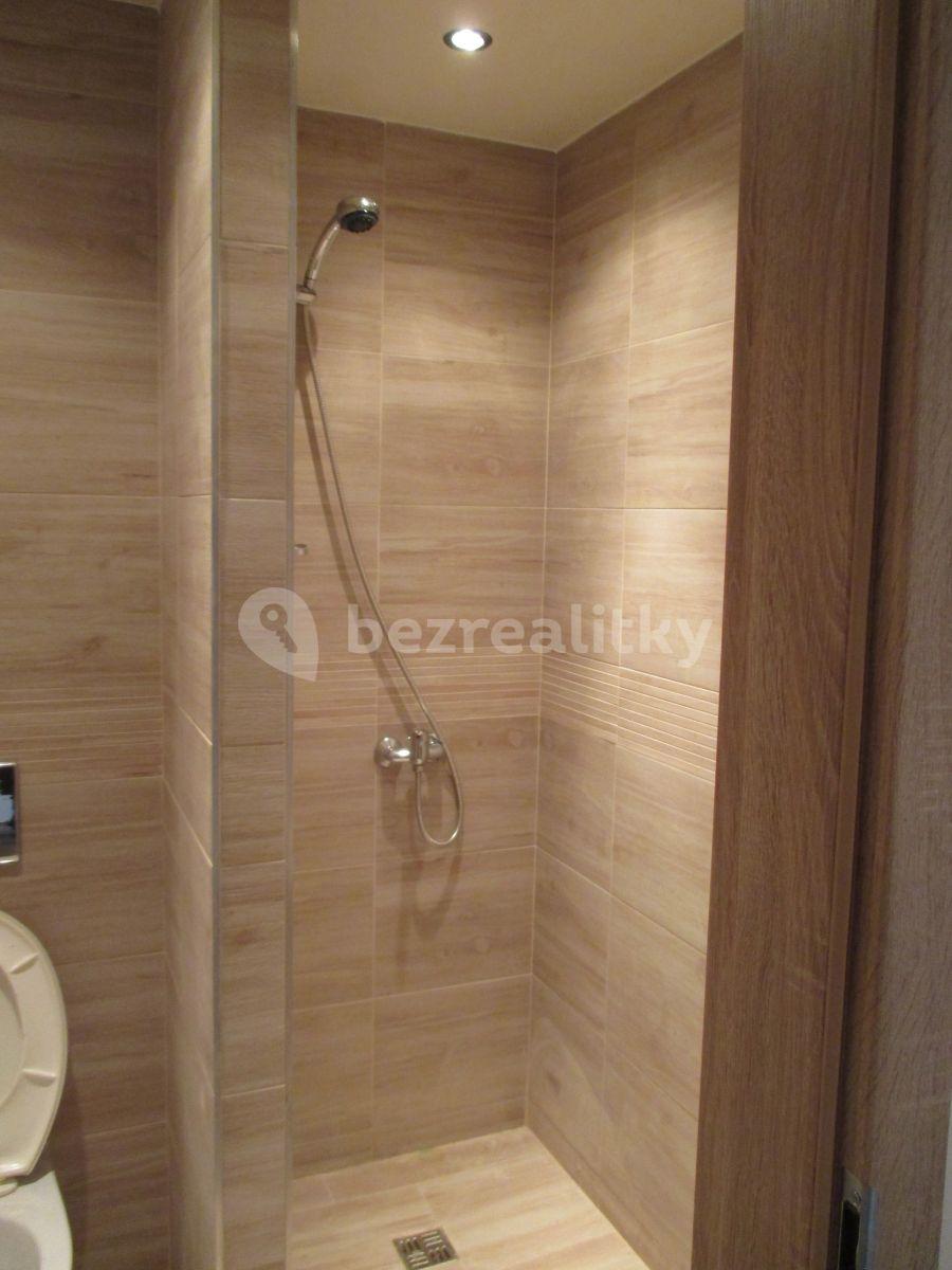 1 bedroom flat to rent, 28 m², Mládeže, Beroun, Středočeský Region