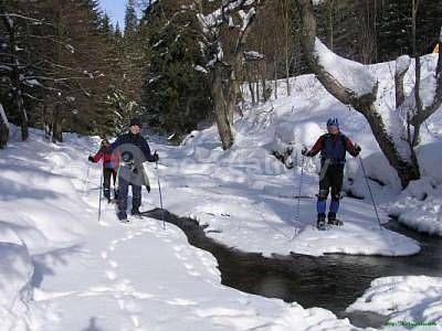 recreational property to rent, 0 m², Bartošovice v Orlických horách, Královéhradecký Region