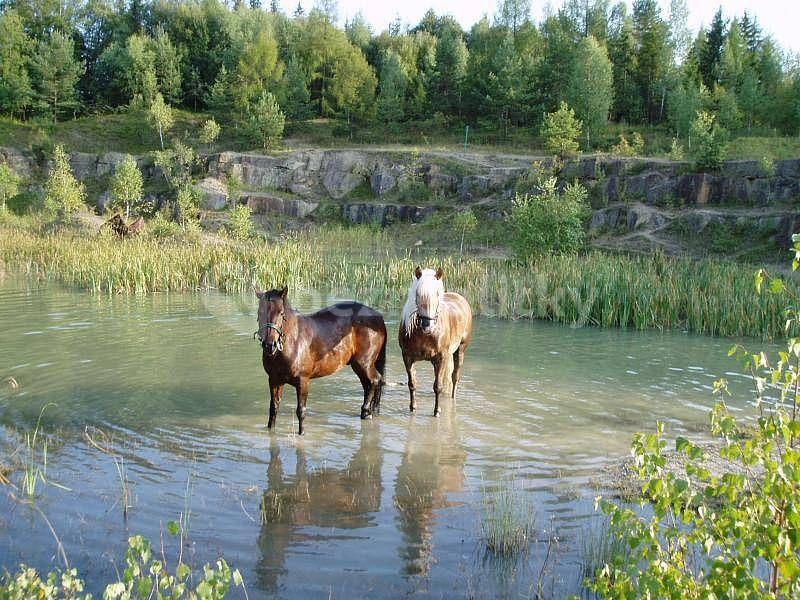 recreational property to rent, 0 m², Bojkovice, Zlínský Region