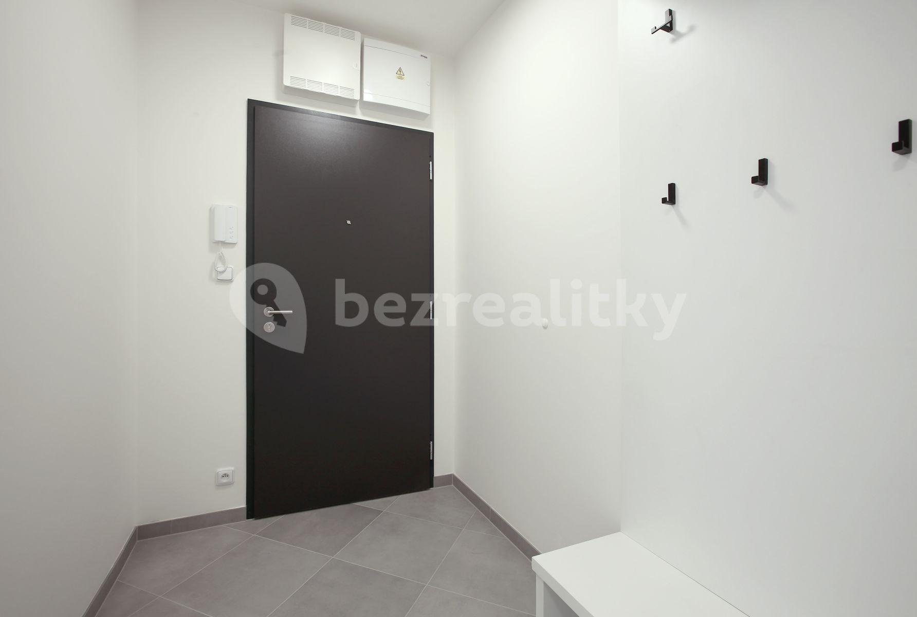 1 bedroom with open-plan kitchen flat to rent, 52 m², Svitákova, Prague, Prague