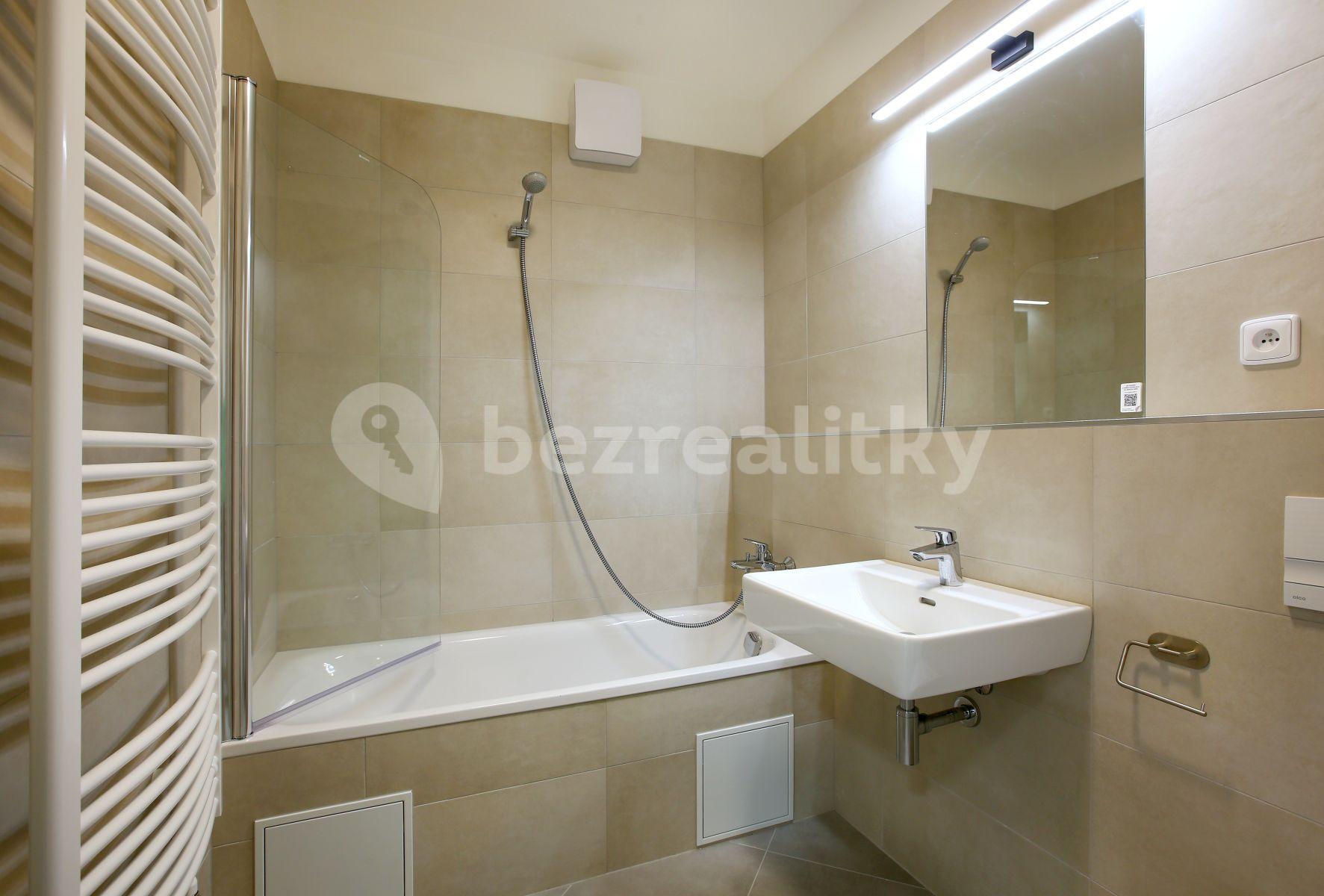 1 bedroom with open-plan kitchen flat to rent, 52 m², Svitákova, Prague, Prague