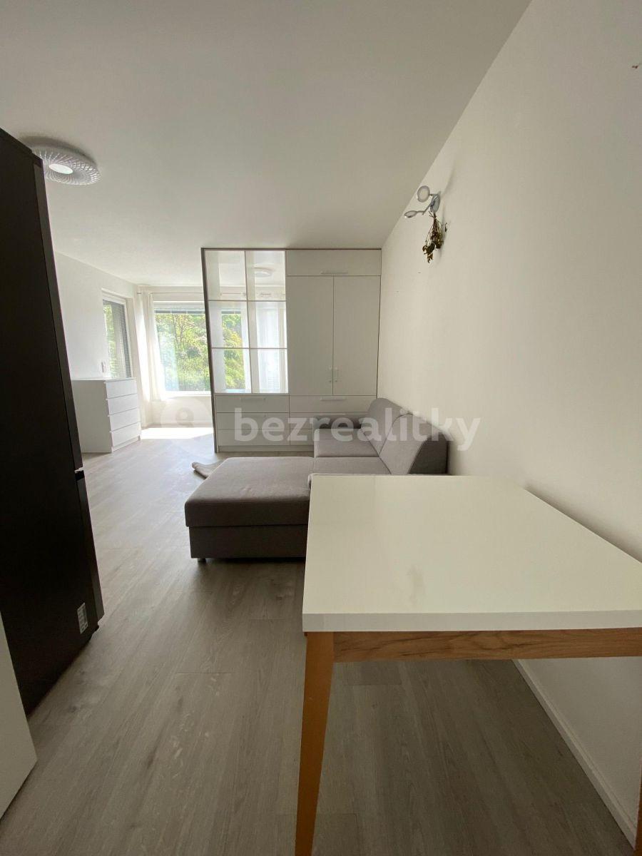 Studio flat to rent, 45 m², Prague, Prague