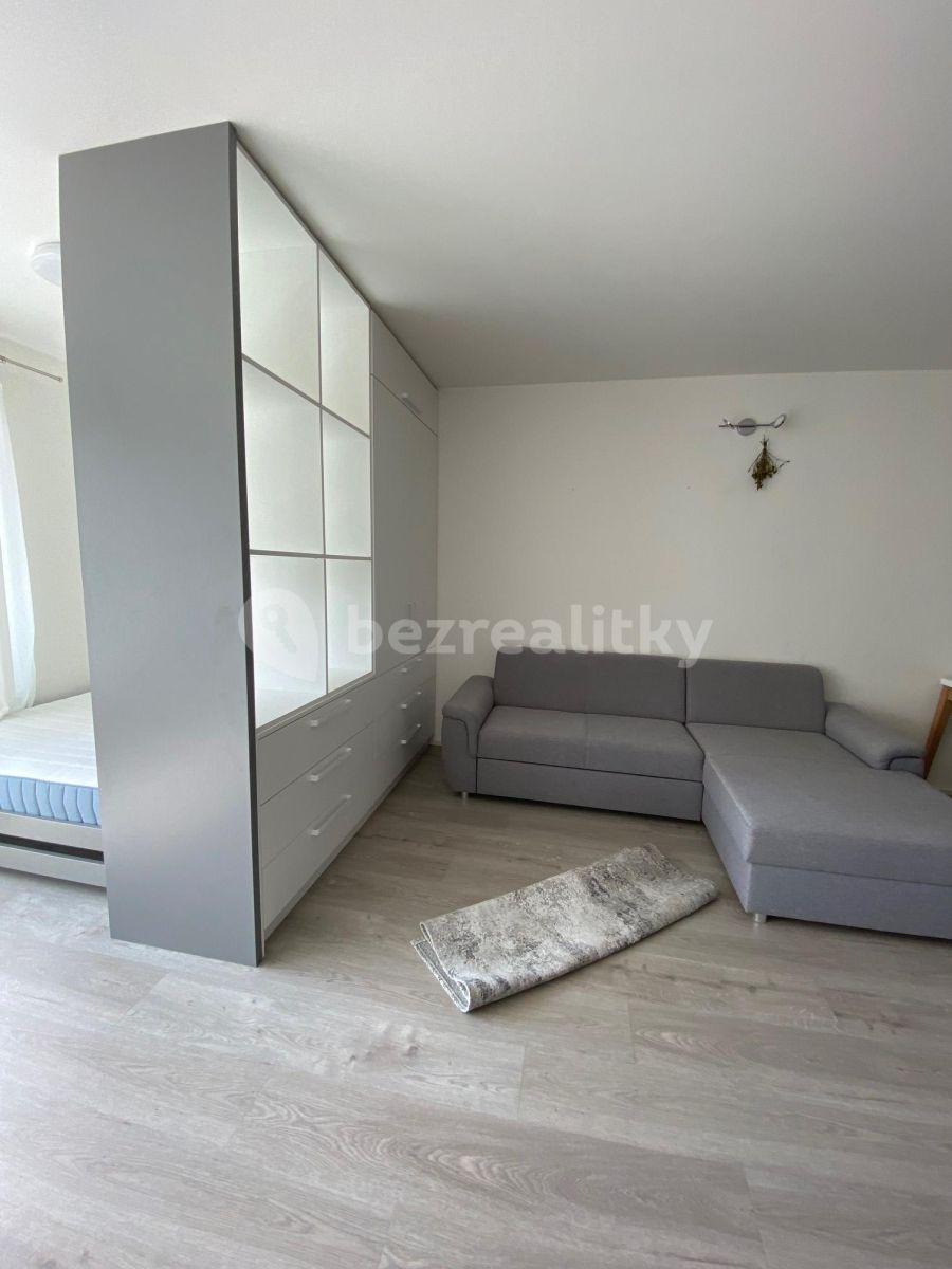 Studio flat to rent, 45 m², Prague, Prague