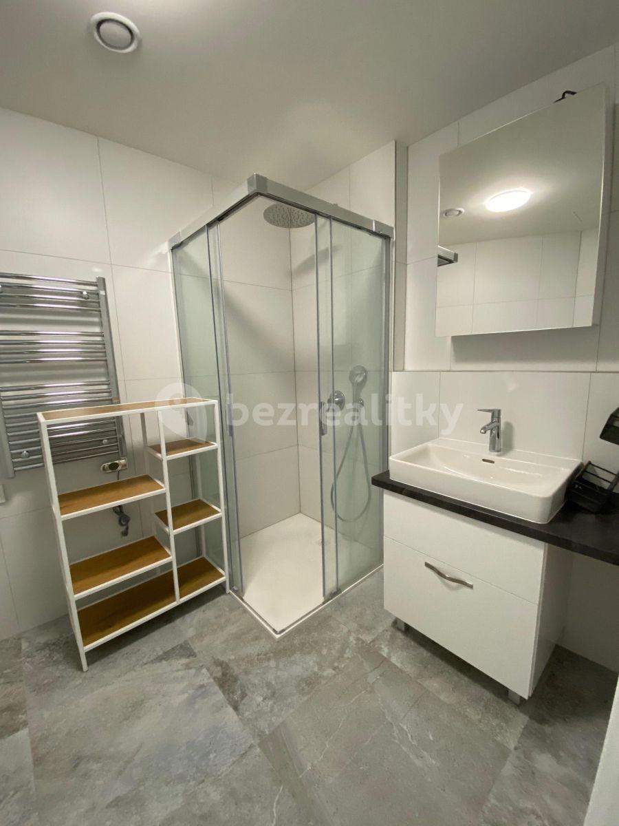 Studio flat to rent, 45 m², Prague, Prague