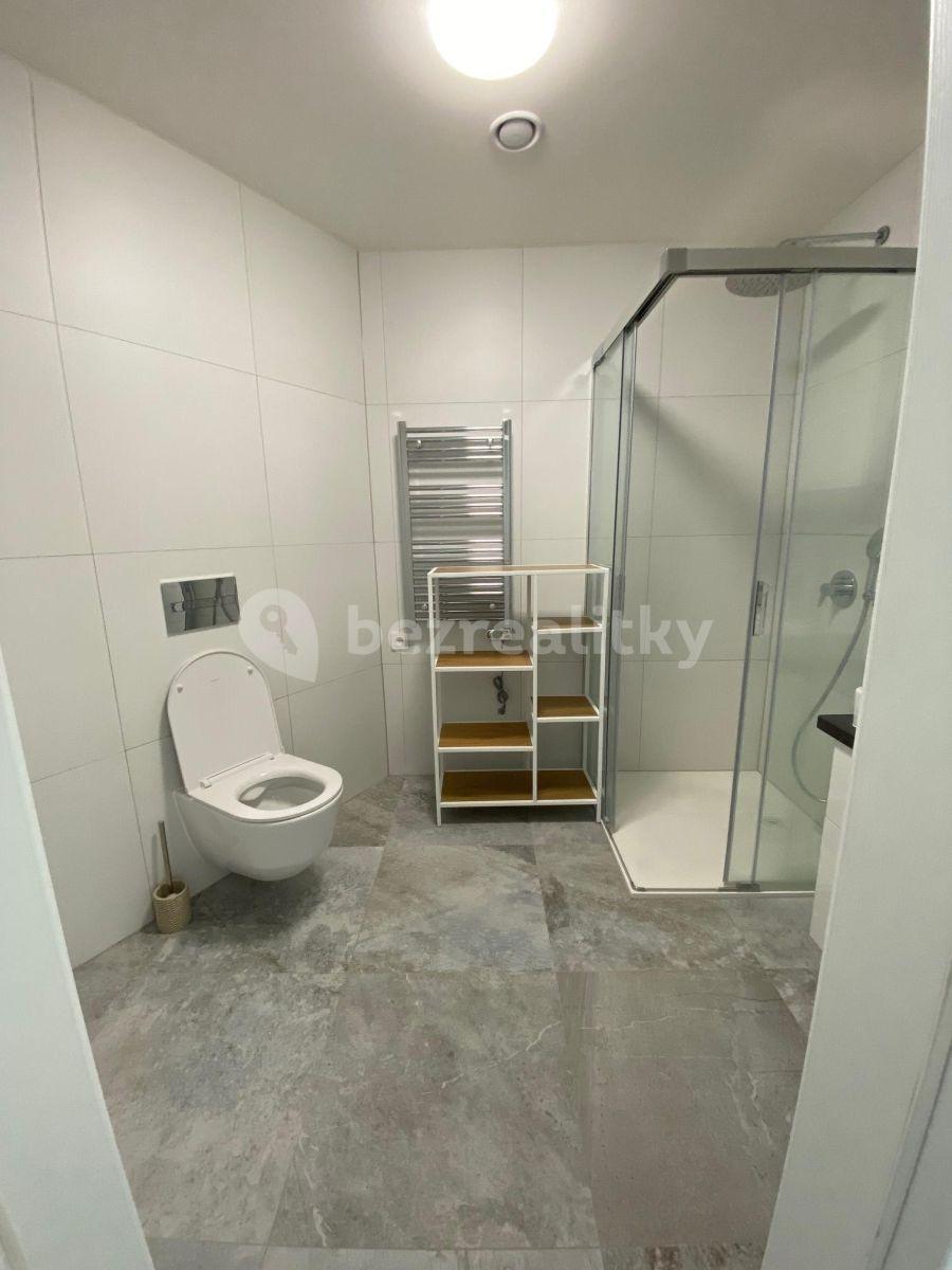 Studio flat to rent, 45 m², Prague, Prague