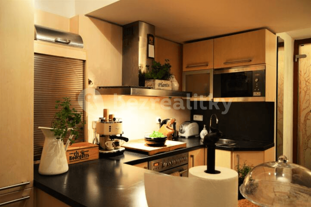 1 bedroom with open-plan kitchen flat to rent, 92 m², Československé armády, Prague, Prague