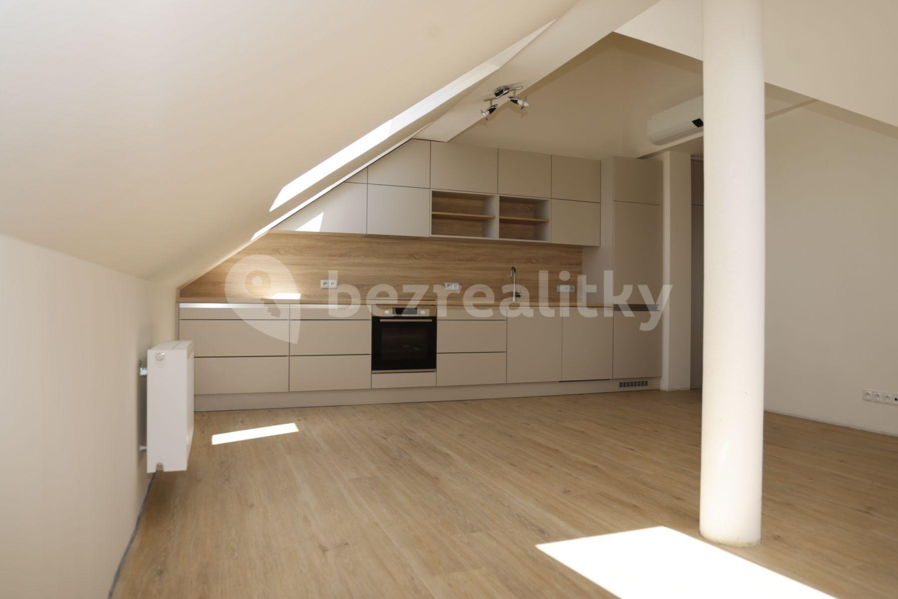 1 bedroom with open-plan kitchen flat to rent, 55 m², Šatrova, Prague, Prague