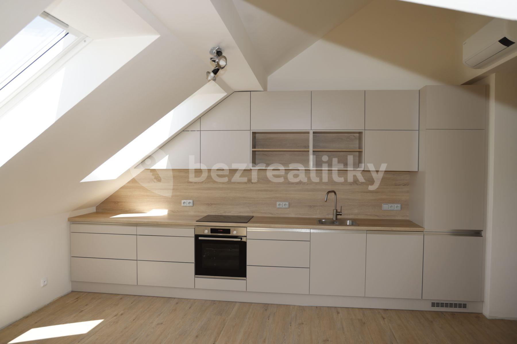 1 bedroom with open-plan kitchen flat to rent, 55 m², Šatrova, Prague, Prague