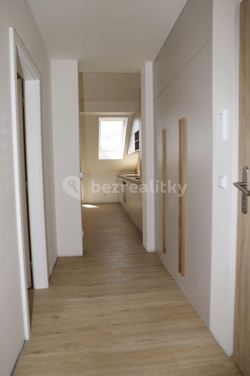 1 bedroom with open-plan kitchen flat to rent, 55 m², Šatrova, Prague, Prague