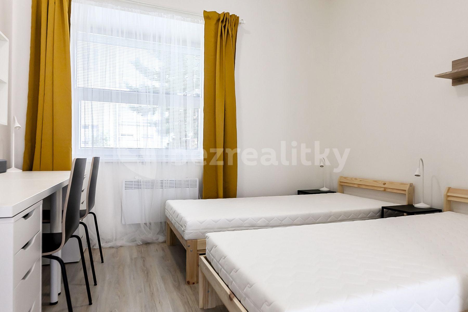 Studio flat to rent, 18 m², Václavská, Brno, Jihomoravský Region