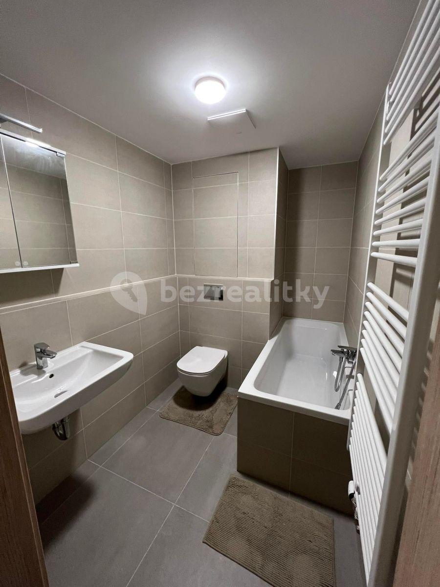 1 bedroom with open-plan kitchen flat to rent, 48 m², Karla Guta, Prague, Prague