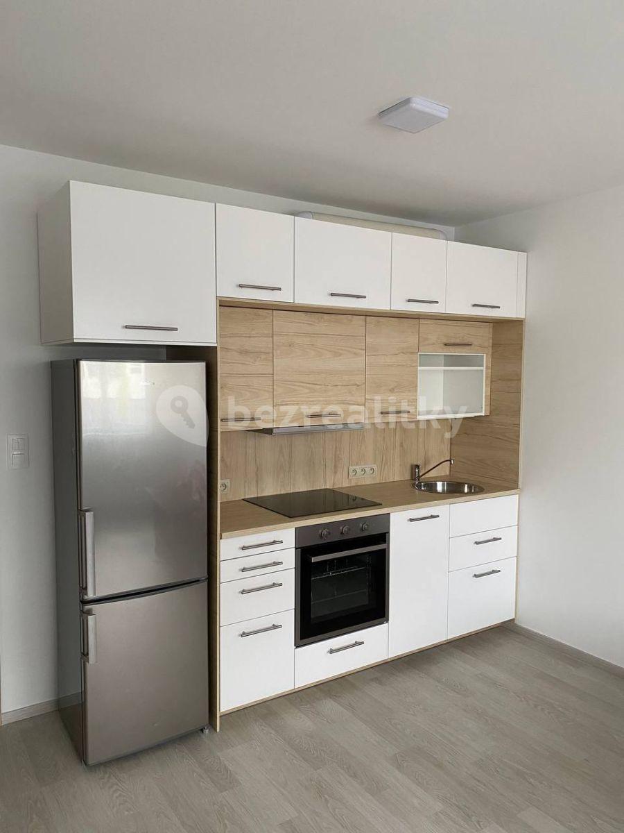 1 bedroom with open-plan kitchen flat to rent, 48 m², Karla Guta, Prague, Prague