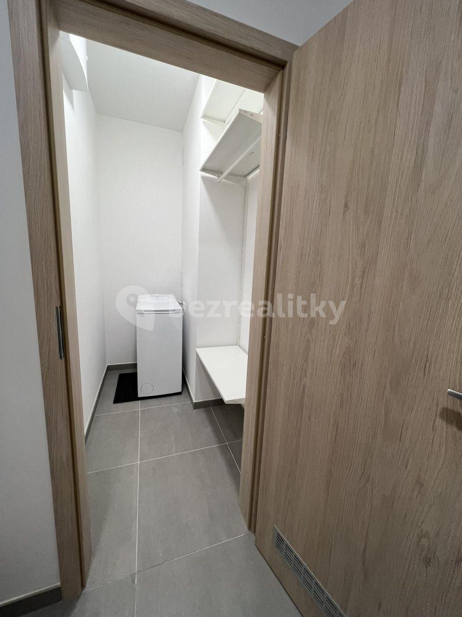 1 bedroom with open-plan kitchen flat to rent, 48 m², Karla Guta, Prague, Prague