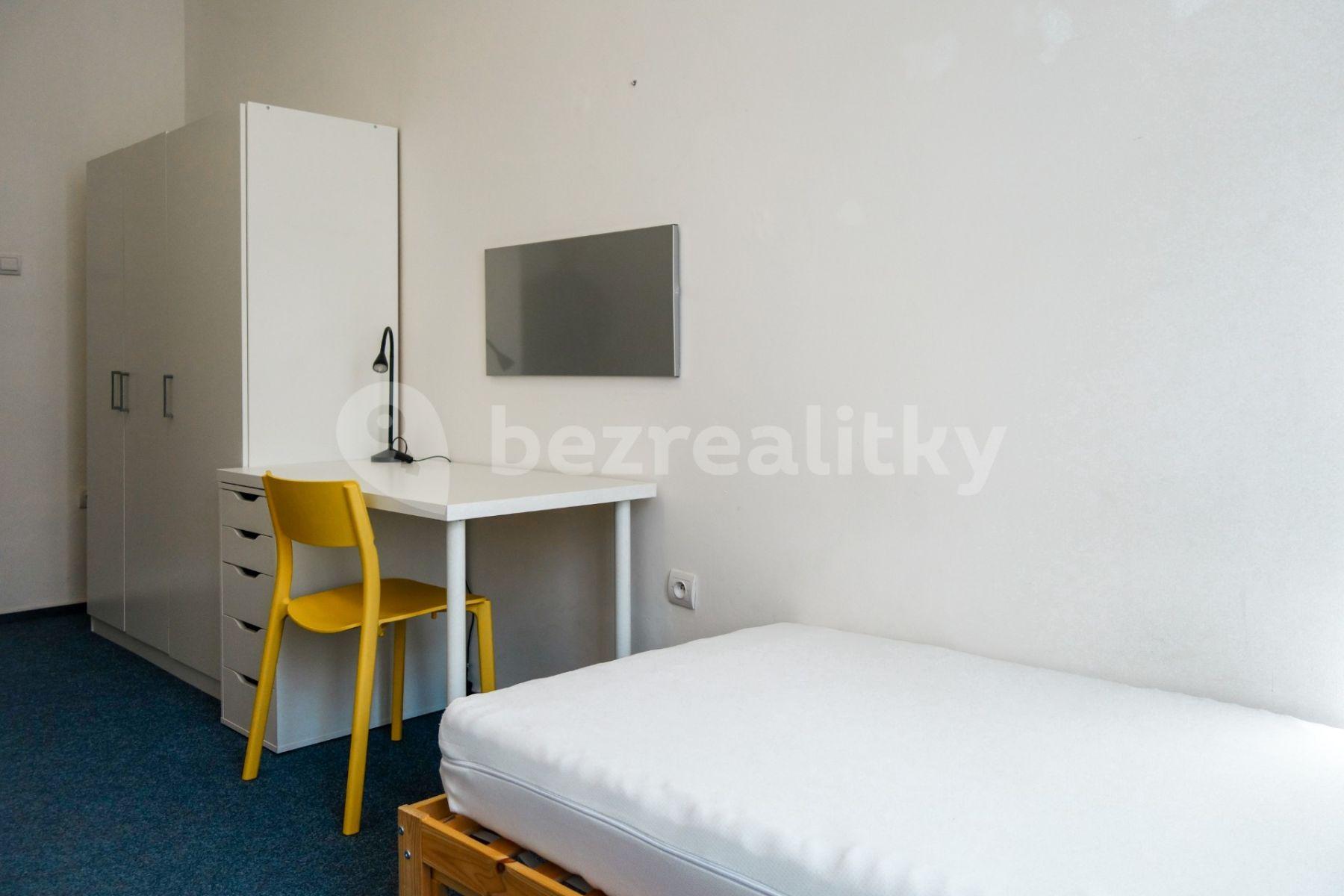 1 bedroom flat to rent, 25 m², Václavská, Brno, Jihomoravský Region