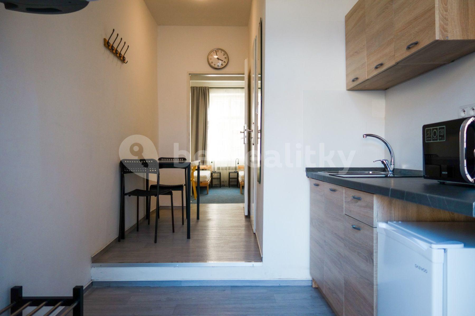 1 bedroom flat to rent, 25 m², Václavská, Brno, Jihomoravský Region