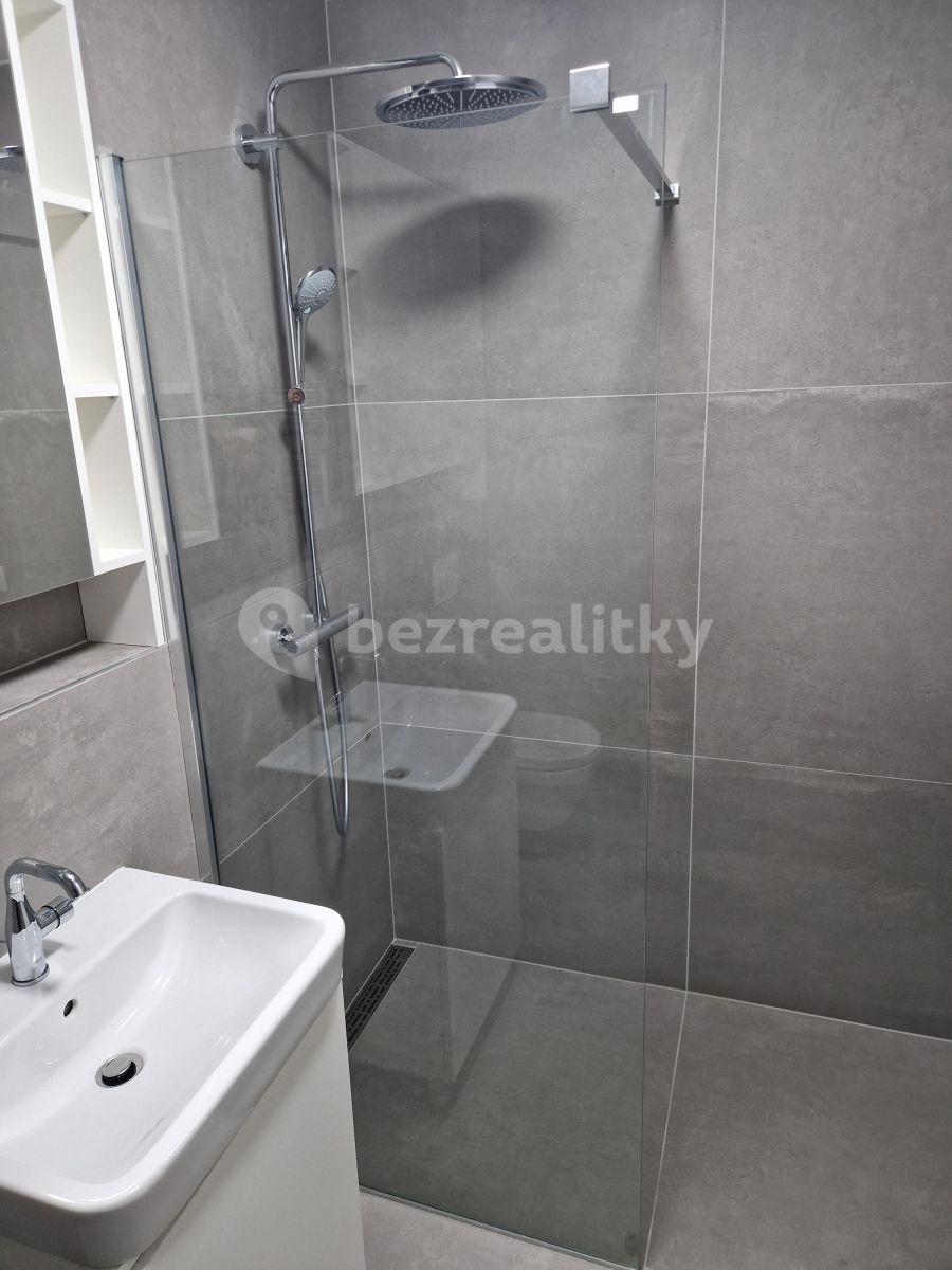 Studio flat to rent, 36 m², Prague, Prague