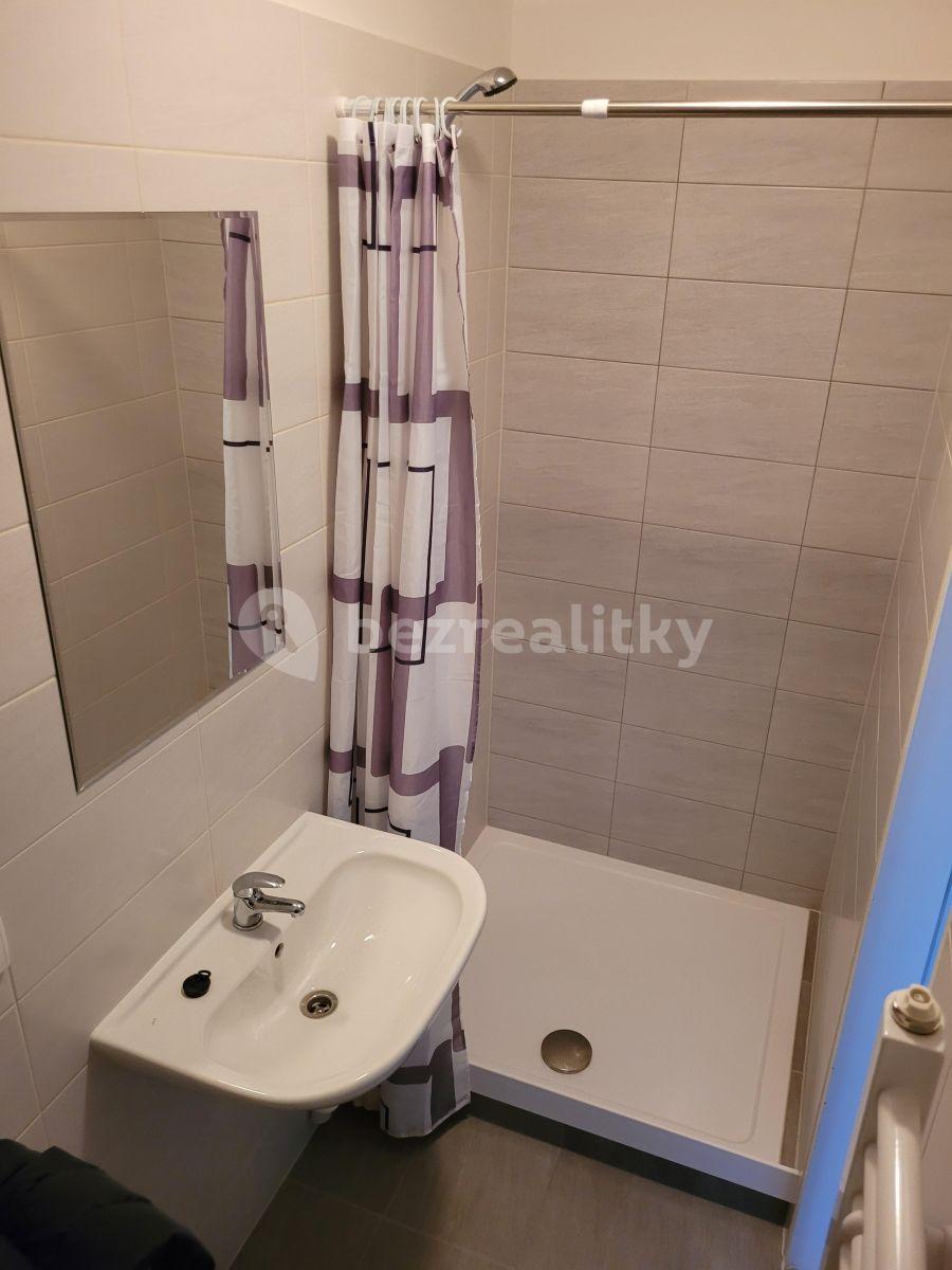 Studio flat to rent, 24 m², Škvorec, Středočeský Region